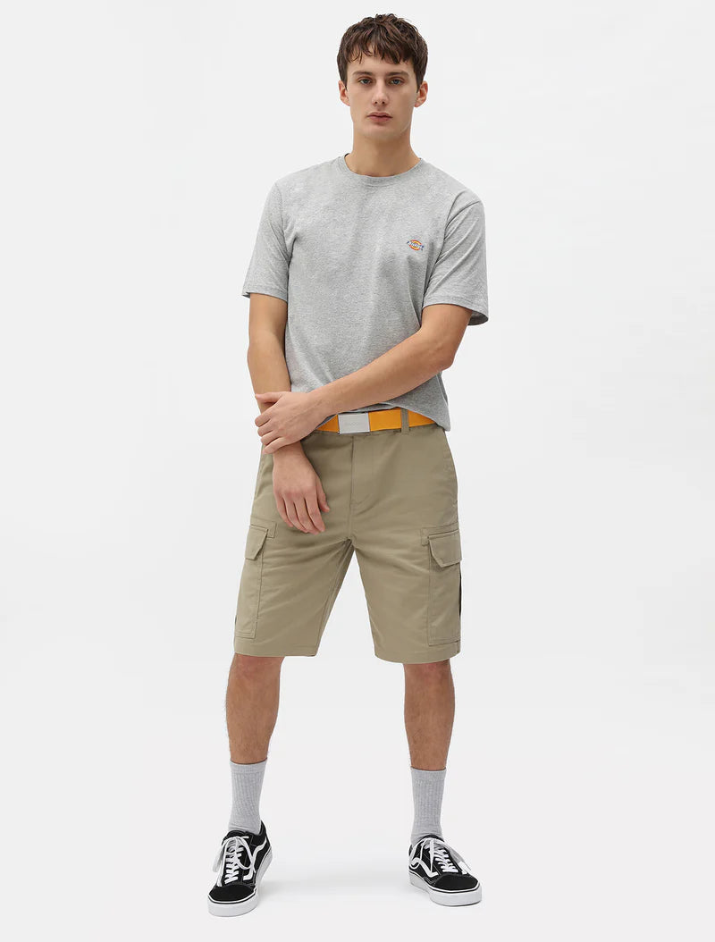 Dickies T-shirt manica corta da uomo  Mapleton DK0A4XDBGYM grey mela